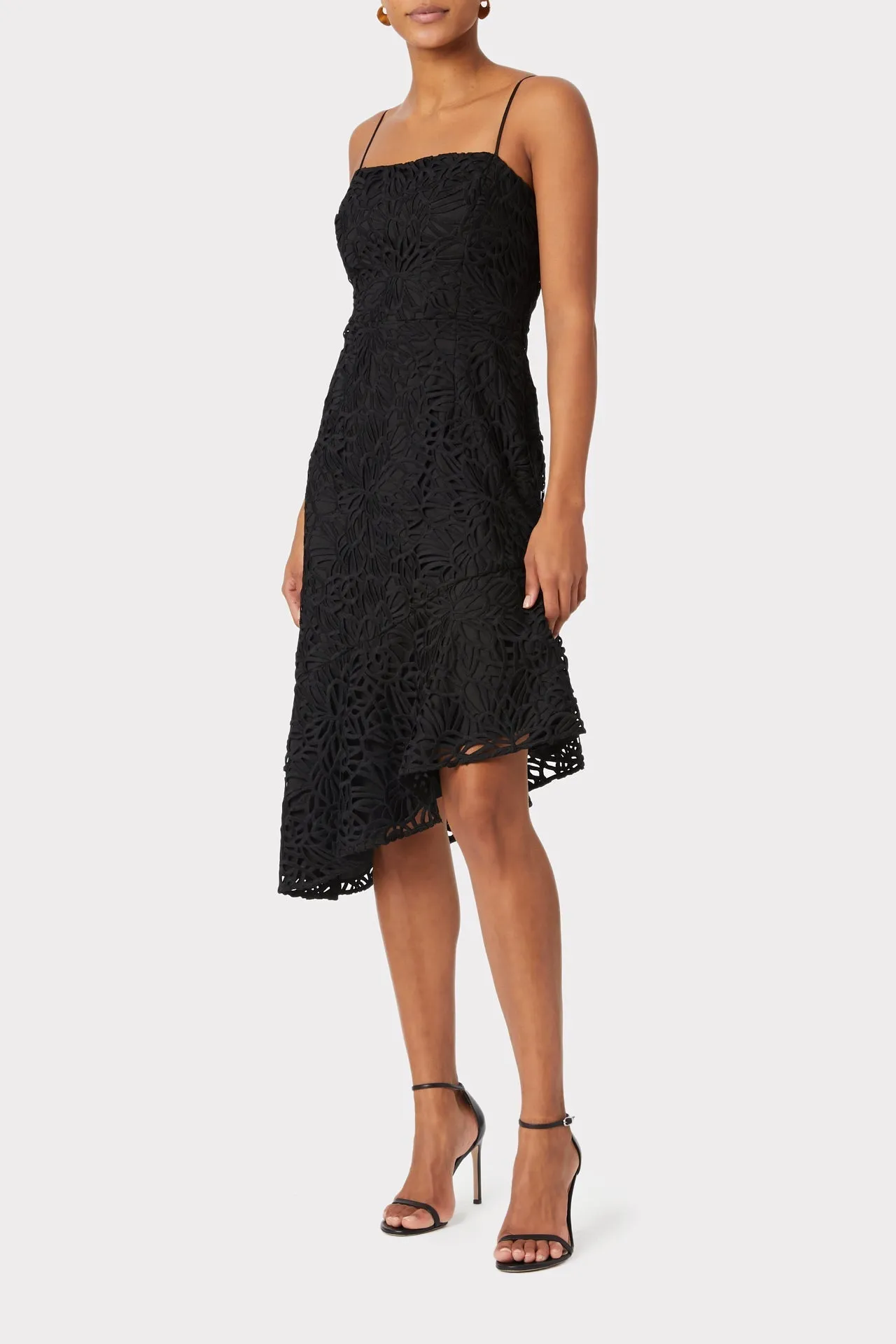 Diara Embroidered Lace Dress