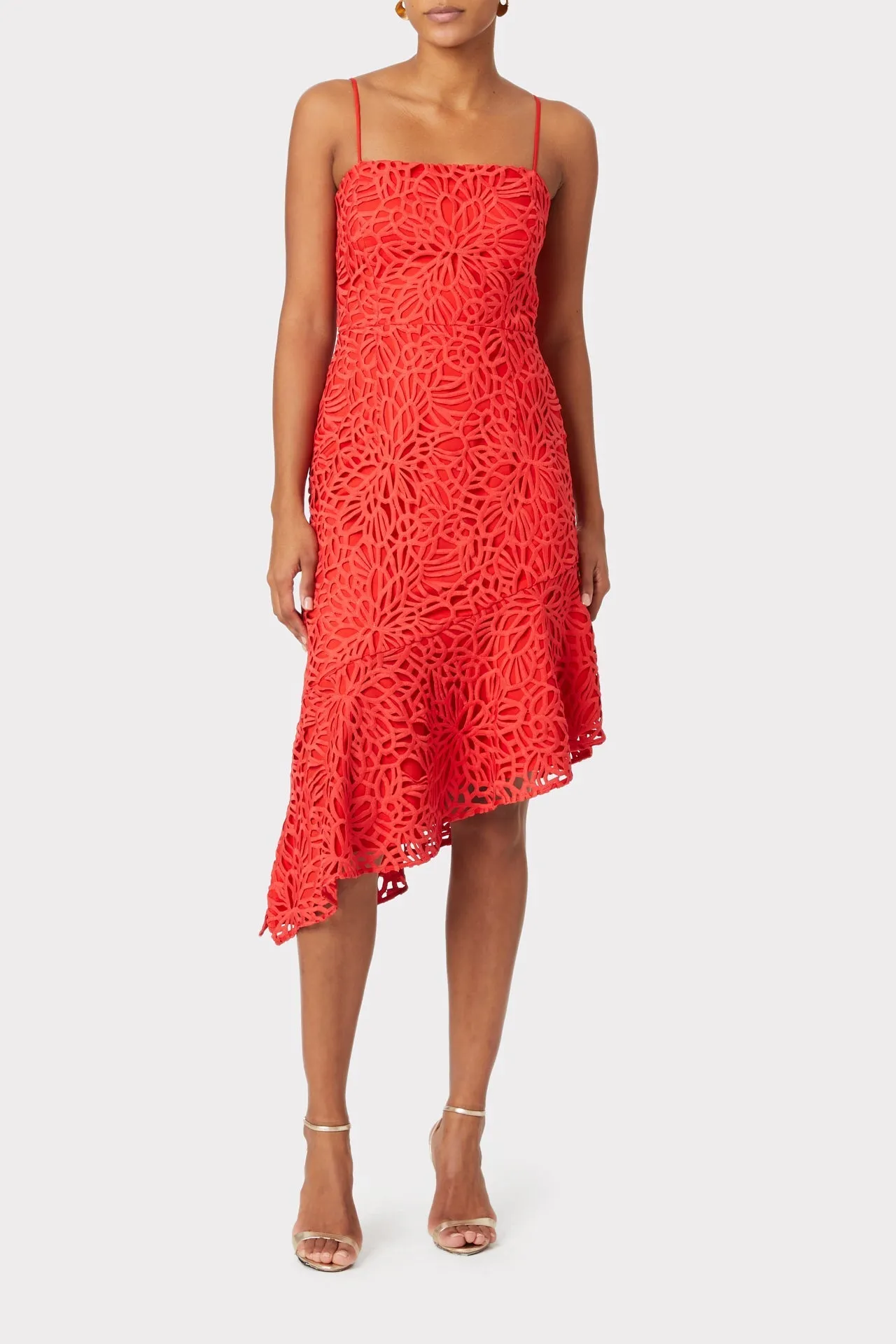 Diara Embroidered Lace Dress