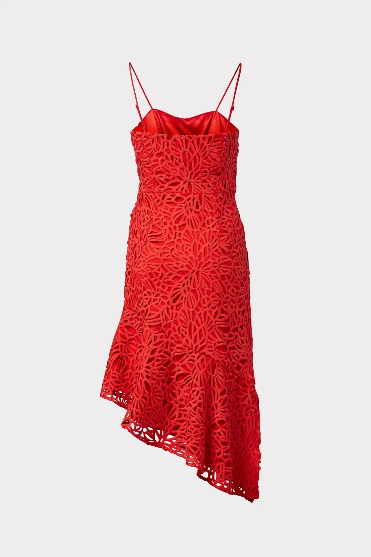 Diara Embroidered Lace Dress